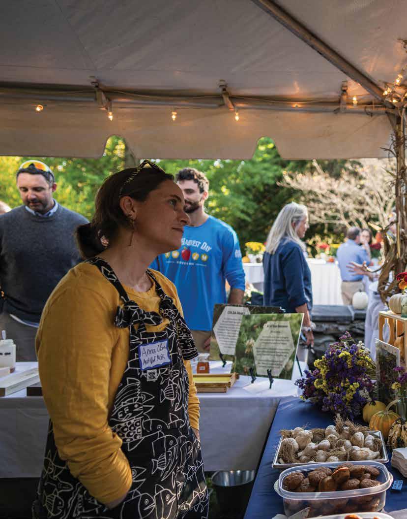 Cover for Research made delicious