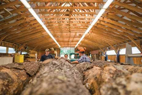 Cover for The Forestry Field Activity Center at the Thompson School