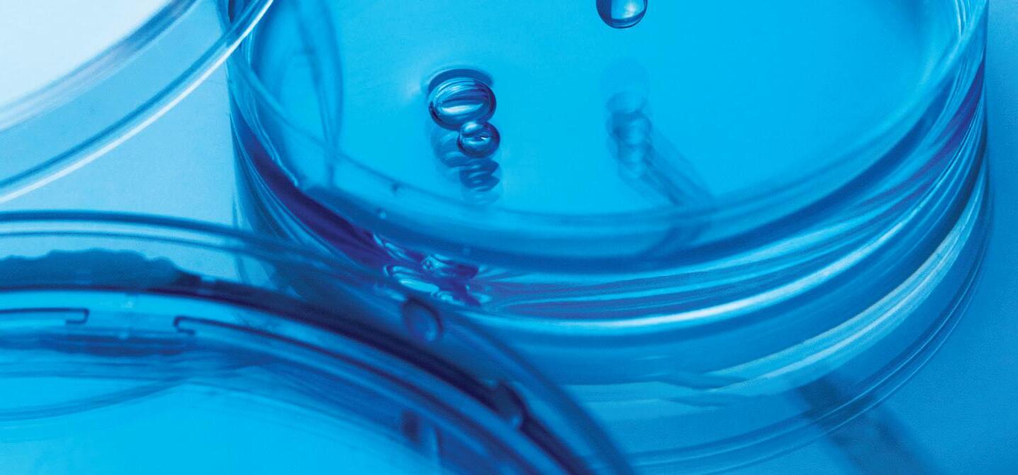 Sample Papers - LC - Biology - Website Sample by The Examcraft Group ...