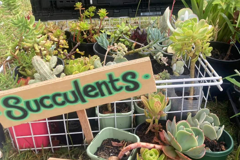 Growing community spirit