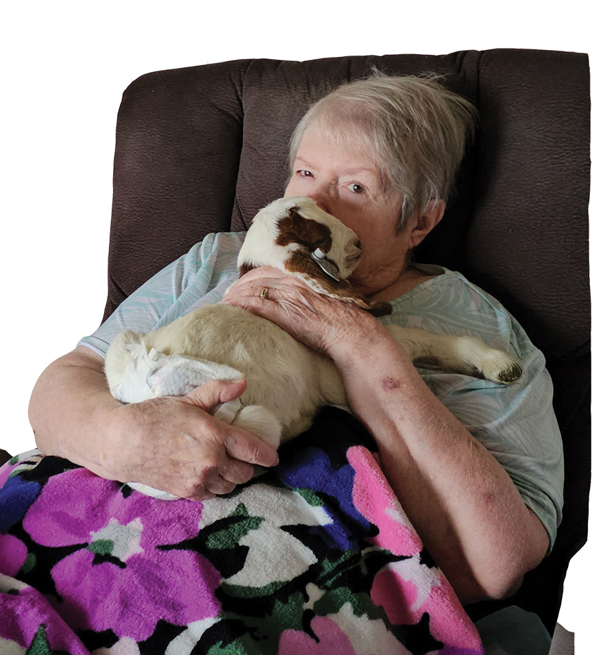 Cover for Sharing Baby Goats with Brown County Health & Living