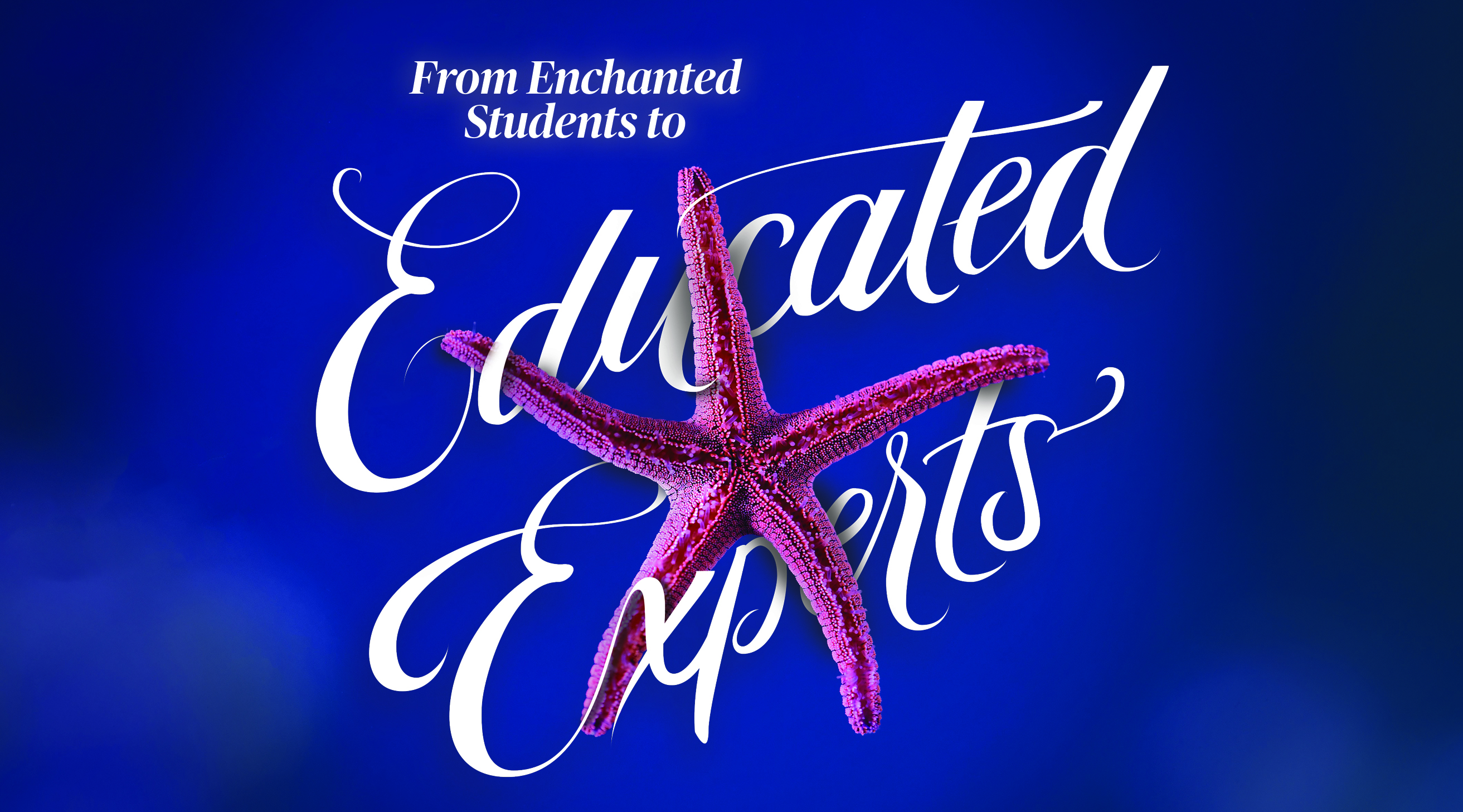 From enchanted students to educated experts