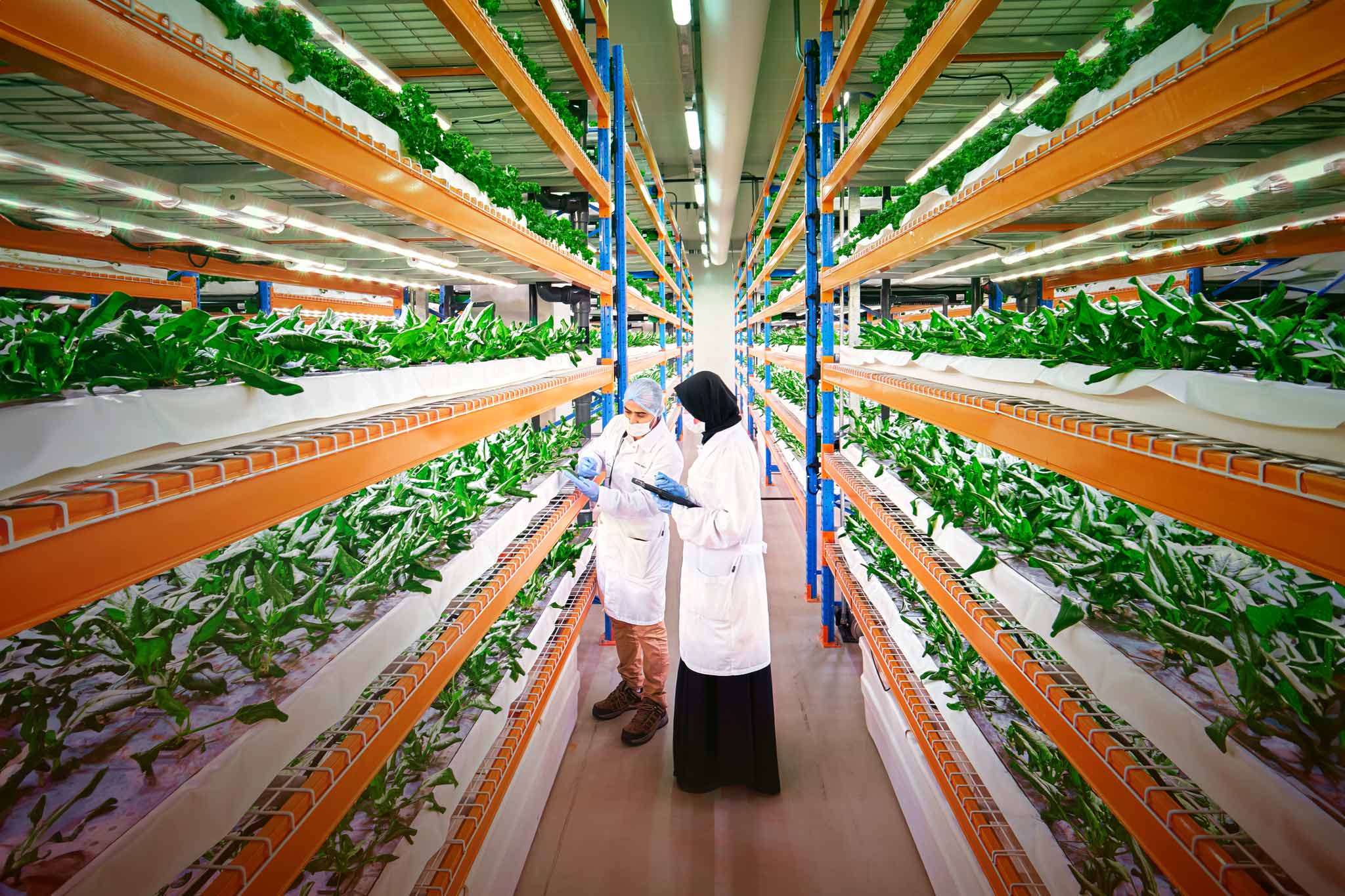 The World’s Largest Indoor Vertical Farm Saves 250 Million Litres of Water Every Year