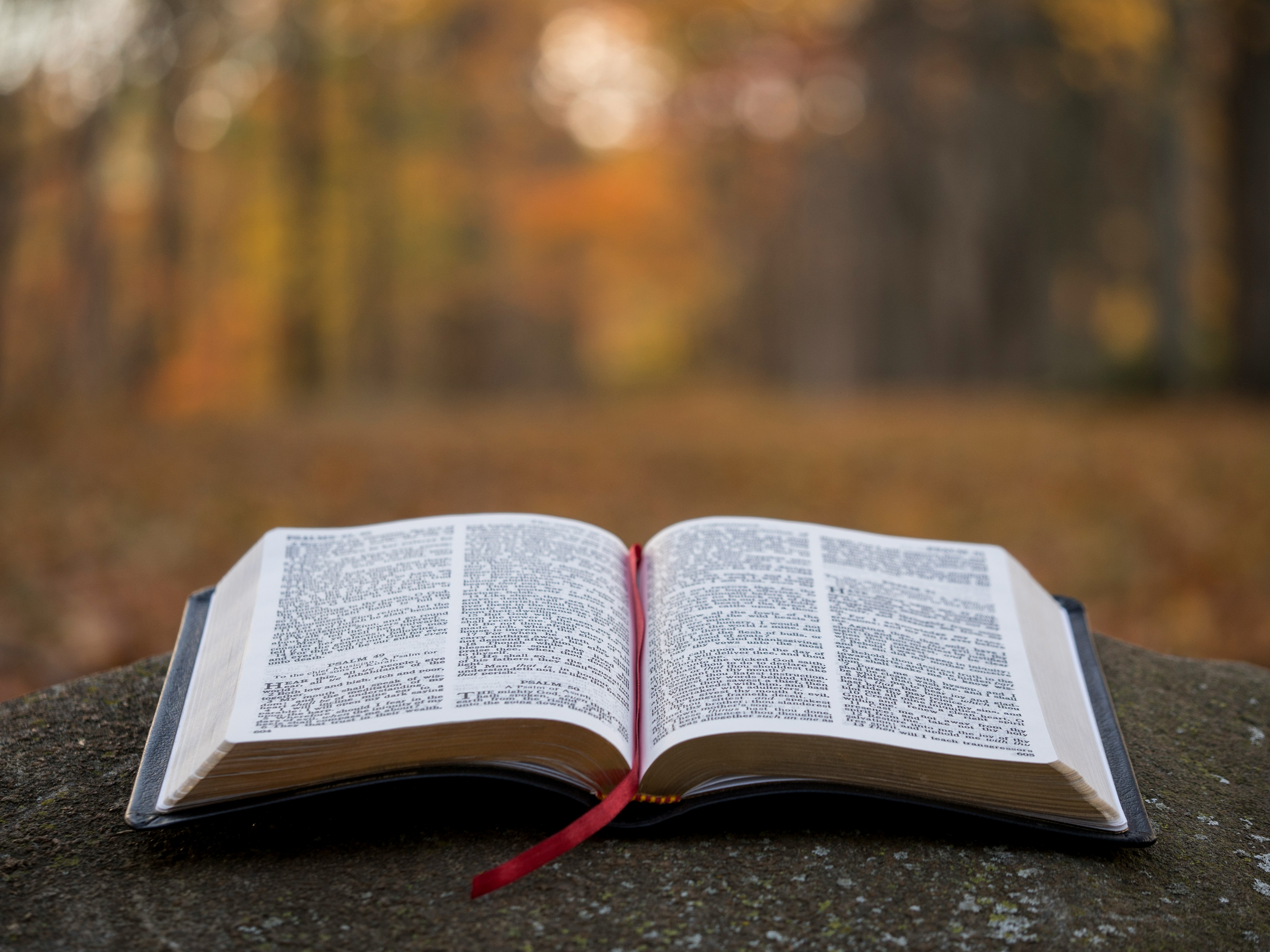 God's Word, the chief means.