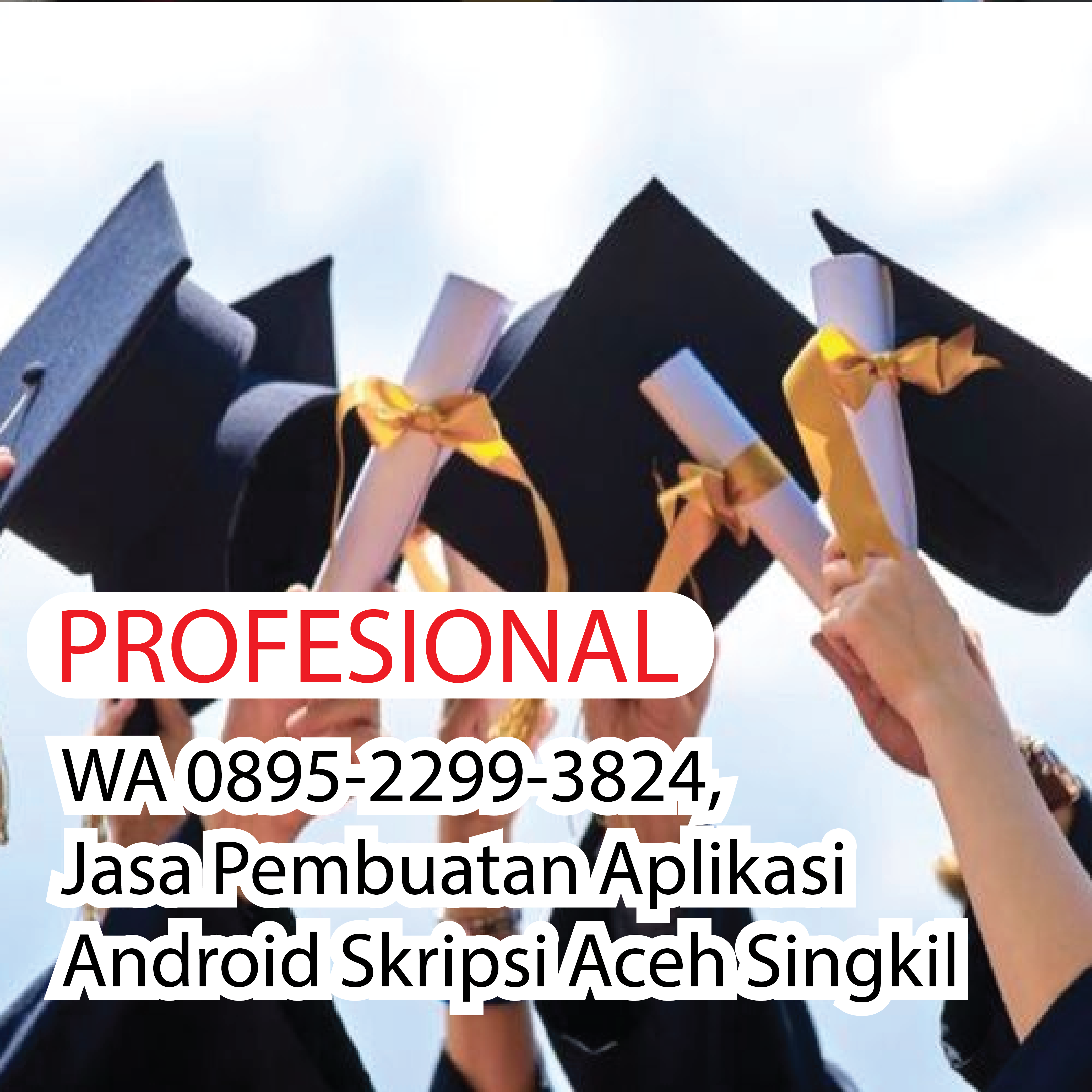 PROFESIONAL, WA 0895-2299-3824, Jasa Pembimbing Skripsi Palembang Bali